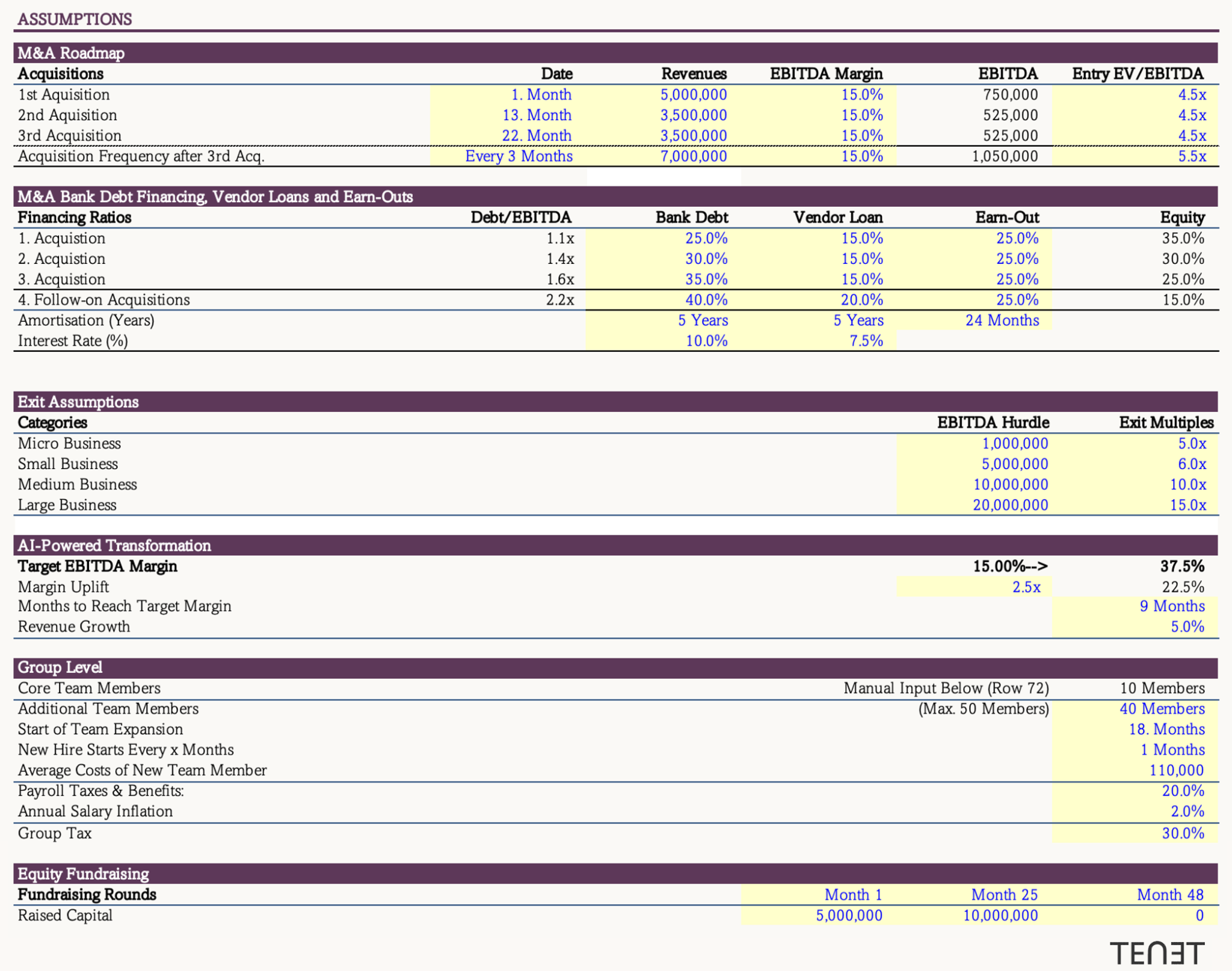 AI Roll-up Financial Model assumptions